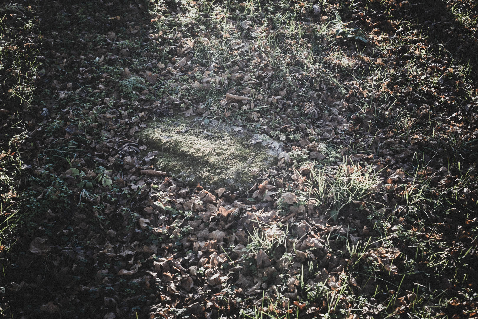 Goddelsheim, Jüdischer Friedhof